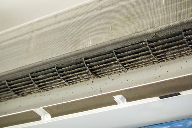 Best Air Duct Cleaning Near Me  in Tucumcari, NM